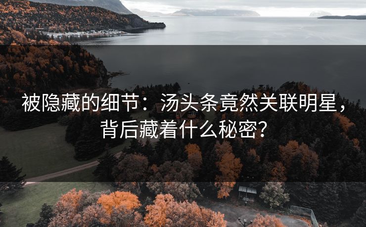 被隐藏的细节：汤头条竟然关联明星，背后藏着什么秘密？