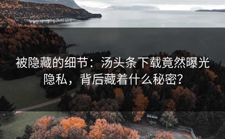 被隐藏的细节：汤头条下载竟然曝光隐私，背后藏着什么秘密？