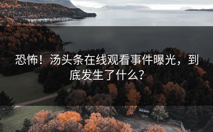 恐怖！汤头条在线观看事件曝光，到底发生了什么？