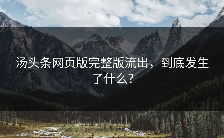 汤头条网页版完整版流出，到底发生了什么？