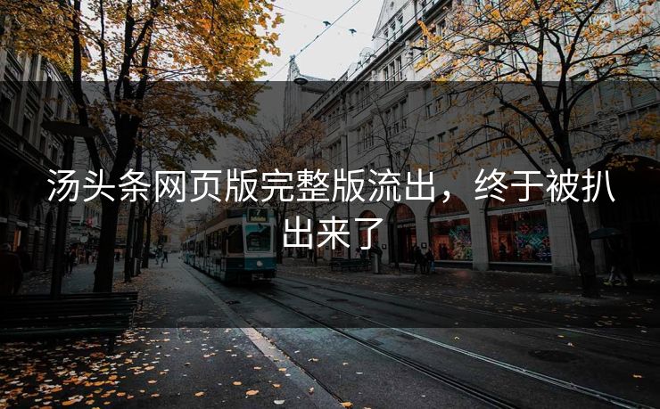 汤头条网页版完整版流出，终于被扒出来了