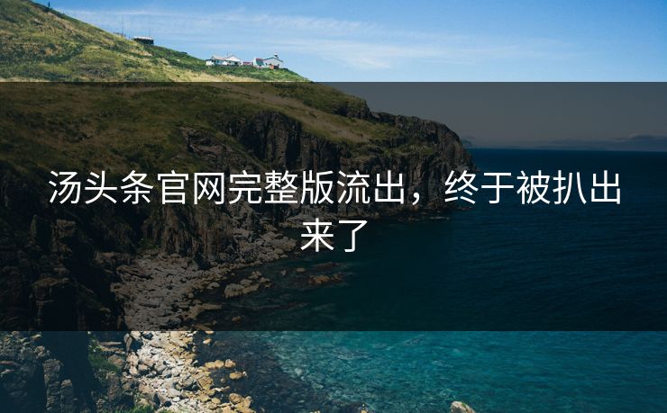 汤头条官网完整版流出，终于被扒出来了