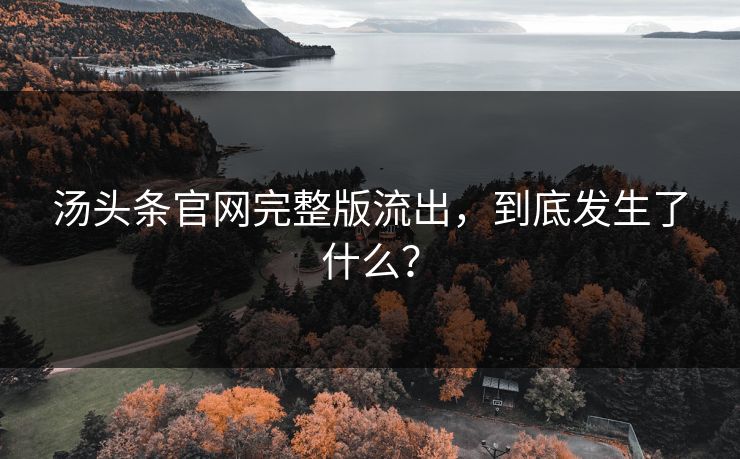 汤头条官网完整版流出，到底发生了什么？