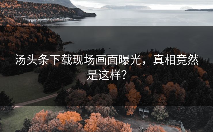 汤头条下载现场画面曝光，真相竟然是这样？