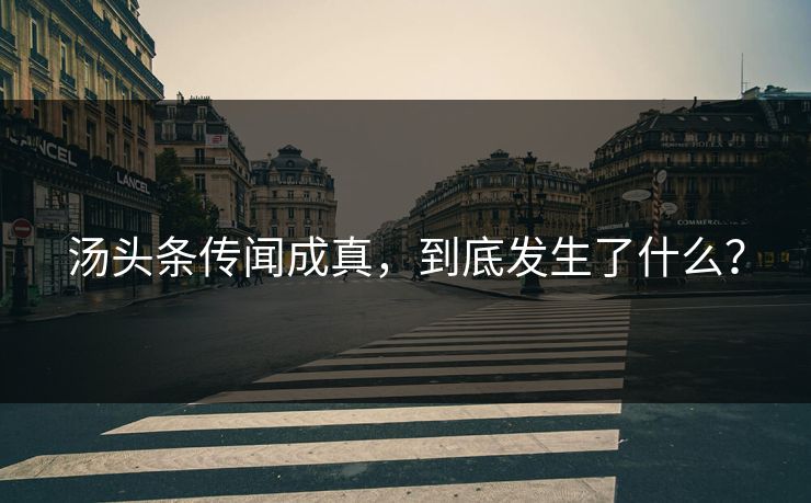 汤头条传闻成真，到底发生了什么？