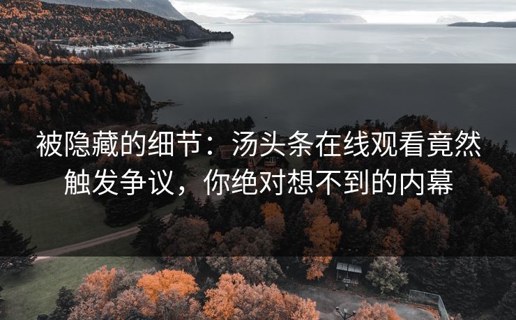 被隐藏的细节：汤头条在线观看竟然触发争议，你绝对想不到的内幕