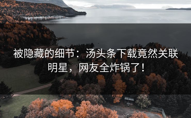 被隐藏的细节：汤头条下载竟然关联明星，网友全炸锅了！