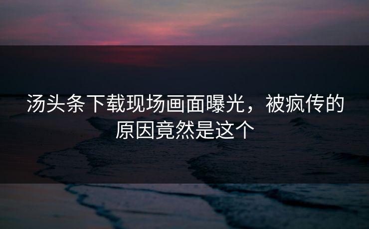 汤头条下载现场画面曝光，被疯传的原因竟然是这个