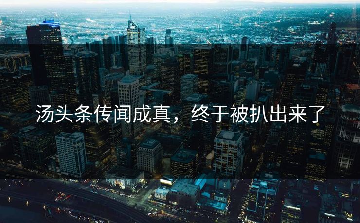 汤头条传闻成真，终于被扒出来了