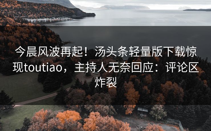 今晨风波再起！汤头条轻量版下载惊现toutiao，主持人无奈回应：评论区炸裂