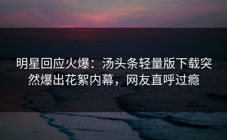 明星回应火爆：汤头条轻量版下载突然爆出花絮内幕，网友直呼过瘾