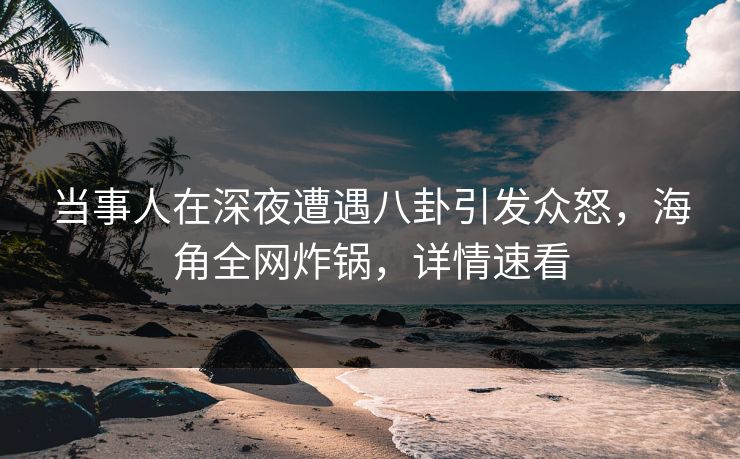 当事人在深夜遭遇八卦引发众怒，海角全网炸锅，详情速看