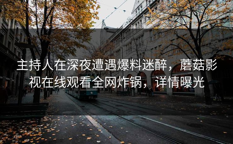 主持人在深夜遭遇爆料迷醉，蘑菇影视在线观看全网炸锅，详情曝光