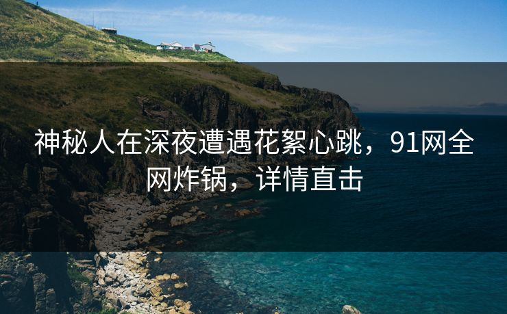 神秘人在深夜遭遇花絮心跳，91网全网炸锅，详情直击