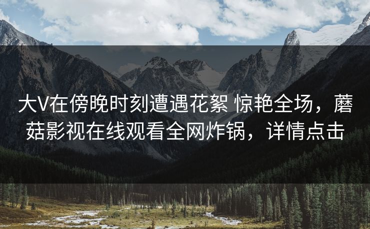 大V在傍晚时刻遭遇花絮 惊艳全场，蘑菇影视在线观看全网炸锅，详情点击