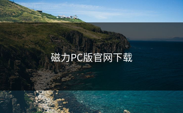 磁力PC版官网下载