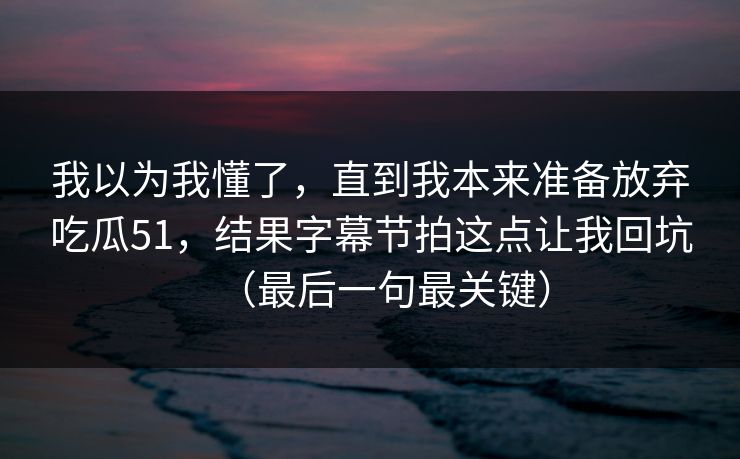 我以为我懂了，直到我本来准备放弃吃瓜51，结果字幕节拍这点让我回坑（最后一句最关键）